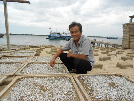 Ông Hồ Văn Thăng kiểm tra chất lượng cá phơi khô. 