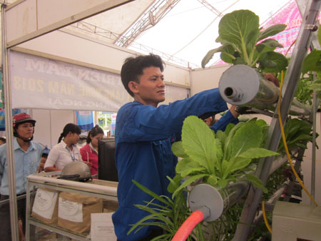 Kỹ sư Nguyễn Văn Cao lắp đặt hệ thống trồng rau thủy canh cho khách hàng tại Hội chợ Triển lãm Nông nghiệp  và Làng nghề năm 2013 tổ chức tại Quảng Ngãi. Ngọc Viên