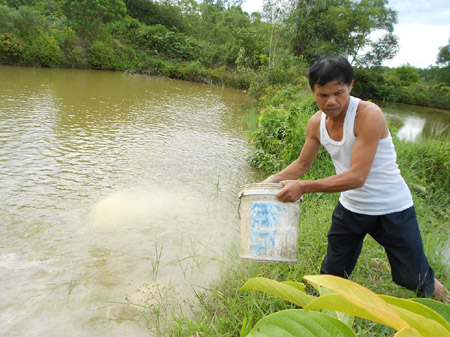 Ông Đoàn Quang Luật cho cá ăn.