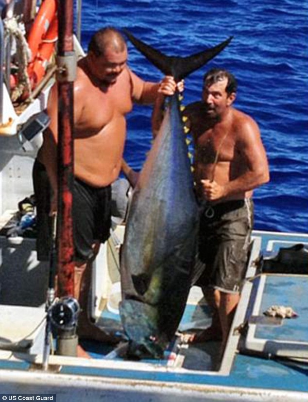Con cá ngừ khổng lồ 104kg. Ảnh: US Coast Guard.