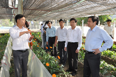 Bí thư Tỉnh ủy Quảng Ninh (phải) thăm mô hình sản xuất điển hình ở Hoành Bồ.