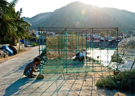 Thợ làm lồng nuôi tôm hùm 