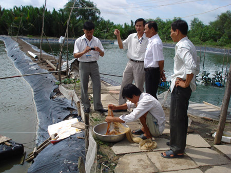 Ông Minh giới thiệu ao nuôi tôm của gia đình mình. 