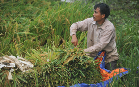 Đời sống của người nông dân Việt Nam còn nhiều khó khăn (ảnh minh họa).   