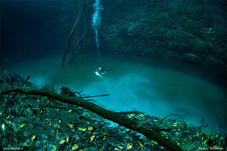 Dưới đáy Biển Cá Voi Cùng Nhau đi Du Lịch Hình ảnh | Định dạng hình ảnh PSD  400556763| vn.lovepik.com