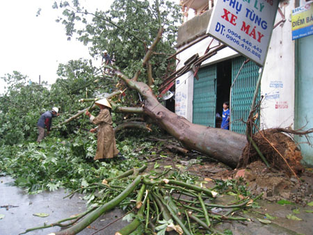 Bão số 6 gây thiệt hại tại huyện Hậu Lộc, Thanh Hóa.