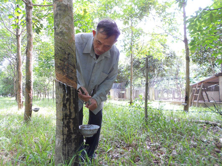 Mô hình trang trại VACR của ông Lê Kha cho  thu nhập hàng trăm triệu đồng mỗi năm. 