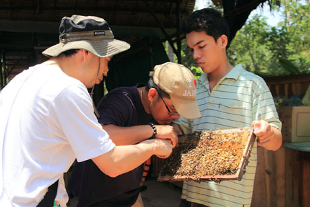 Du khách thử mật ong ở Cù lao Thới Sơn (Tiền Giang).