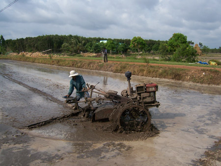 Nông dân xới đất kết hợp trục vùi thân, lá rễ cây màu để trồng lúa thu đông. 