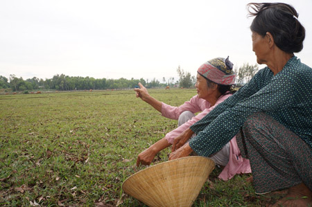 Nông dân Quảng Nam bên ruộng đồng bị bỏ hoang nhiều tháng nay.