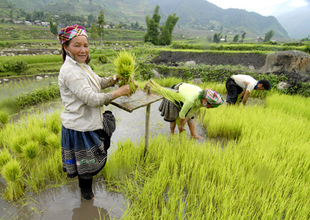 Không có lao động trẻ?và chất lượng nên việc tiếp thu tiến bộ khoa học trong sản xuất nông nghiệp còn hạn chế. 