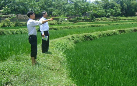 Ông Phùng Trọng Dũng - Phó Chủ tịch UBND xã Thanh Mỹ (Sơn Tây, Hà Nội) (phải) tỏ ra bế tắc về cách chia ruộng bậc thang, trũng, xấu.