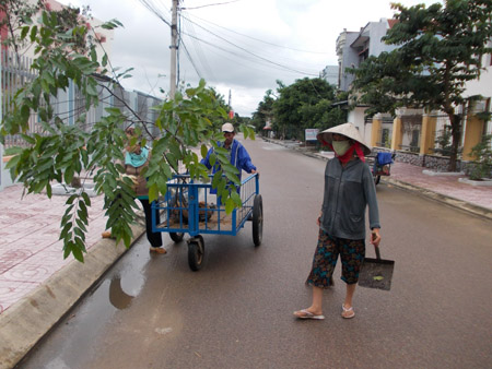 Công nhân Đội vệ sinh môi trường Phú Phong trồng cây xanh ven đường phố.   