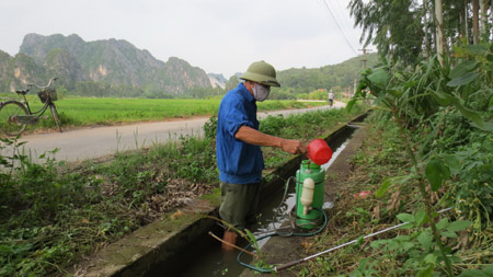 Ông Thấm sử dụng tay trần để hòa thuốc trừ sâu.  