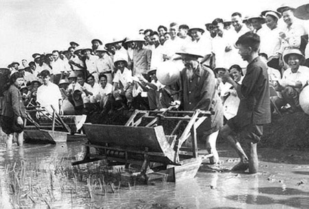 Bác Hồ dùng thử máy cấy tại trại thí nghiệm lúa thuộc Sở Nông lâm Hà Nội, năm 1960.