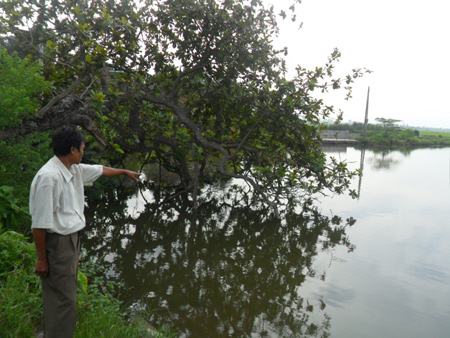 Ao đình làng Chuộn