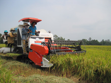 Sử dụng máy GĐLH không qua đào tạo bài bản dễ gây tai nạn thương tâm.   