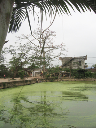  Ao làng không còn là hồn cốt của làng quê Việt