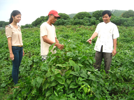 Ông Trương Thái Bảo – Giám đốc TTDN thị xã (phải) hướng dẫn gia đình ông Trịnh Minh Khôi cách chăm sóc cây hoài sơn.   