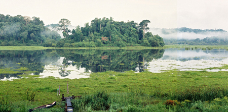 Toàn cảnh Bàu Sấu