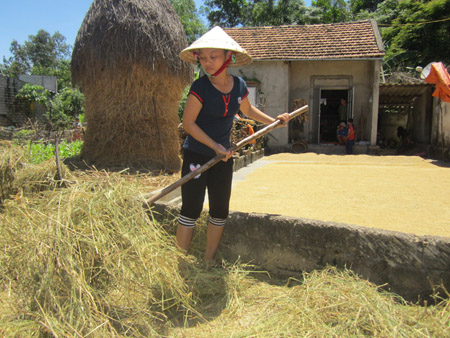 Em Phan Thị Xuân hiện là lao động chính trong nhà.