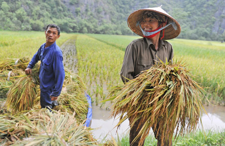 Bình chọn “danh hiệu nông dân Việt Nam xuất sắc” nhằm tiếp tục  khẳng định vai trò, vị thế của người nông dân Việt Nam. 