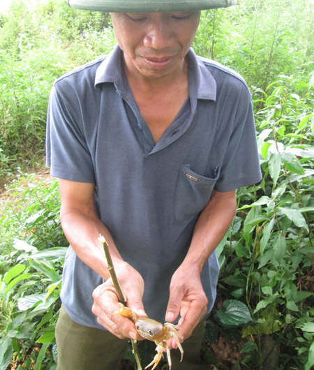 Anh Kà Văn Huy và con cua vừa bắt được.     