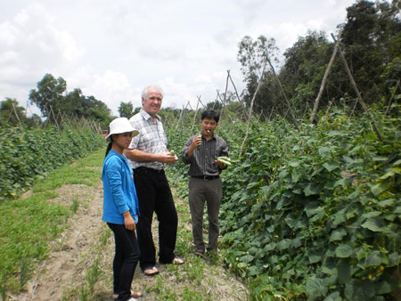 Mô hình trồng rau an toàn tại HTX Phước An (huyện Bình Chánh).   