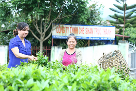  Chị Phạm Thị Nụ (trái) trao đổi với nông dân trồng chè xã Sùng Phài (Tam Đường). 