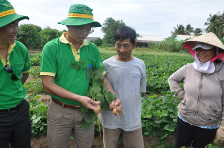 Cán bộ kỹ thuật của PVFCCo trao đổi kỹ thuật canh tác với nông dân.  