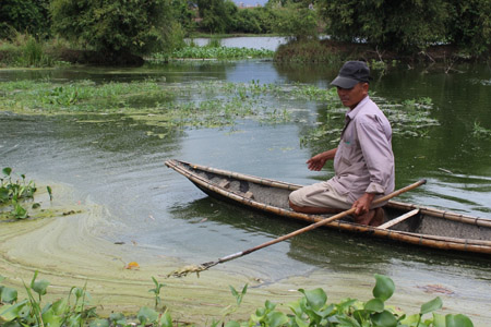 Thủy sản ở khu vực hồ Bàu Sen gần như đã bị tận diệt bởi việc Nhà máy Tinh bột sắn Thừa Thiên- Huế xả thải độc.