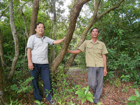 Những người dân tham gia bảo vệ rừng ở rú Trằm.