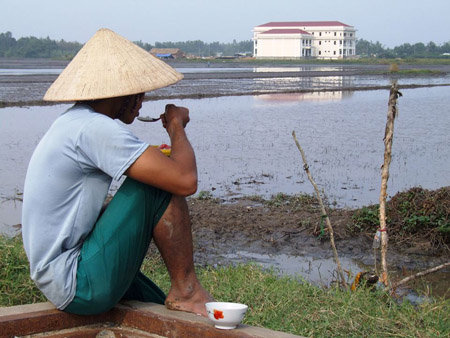 Một nông dân tiếc nuối nhìn hơn 100ha đất lúa bị thu hồi để xây dựng khu tái định cư  – dân cư (giai đoạn 2) ở phường 5, TP.Vị Thanh, tỉnh Hậu Giang.