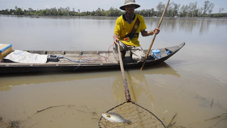 Dùng kích điện đánh bắt thủy sản sẽ bị phạt nặng.  