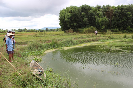 Hồ thủy lợi Bàu Sen, nơi cung cấp nước tưới cho gần 12ha lúa, đã bị nước thải của Nhà máy Tinh bột sắn Thừa Thiên- Huế đầu độc.  