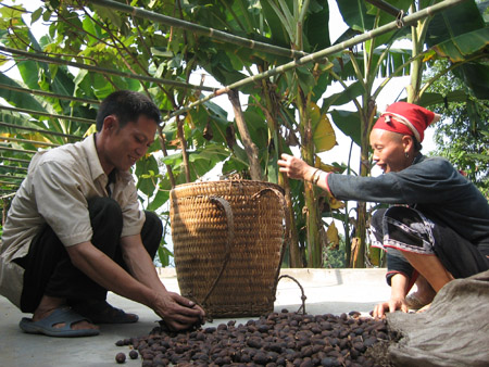 Vợ chồng anh Lý Phù Sinh phơi thảo quả. 