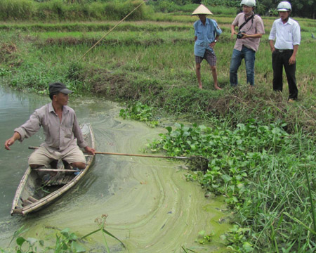 Nước thải độc hại của Nhà máy Tinh bột sắn đã hủy diệt thủy sản tại hồ thủy lợi Bàu Sen. 