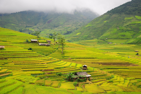 Ruộng bậc thang ở Mù Căng Chải.