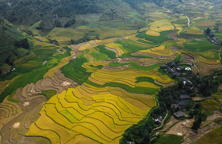 Những ruộng lúa bậc thang là nét đẹp độc đáo của vùng Tây Bắc.