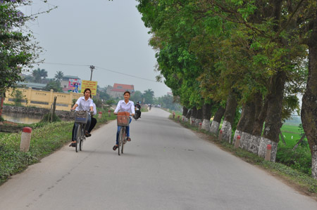 Đường giao thông liên xã tại Mỹ Thành được đổ bê tông khang trang, hiện đại.