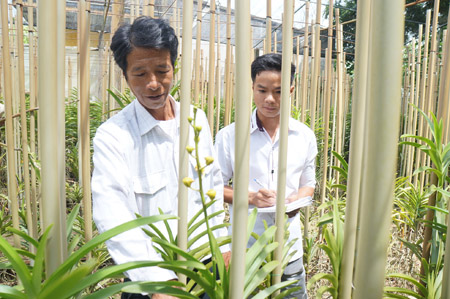 Ông Bùi Quang Trung - TP.Hội An, Quảng Nam (trái), người được đề cử “Nông dân Việt Nam xuất sắc 2013”. 