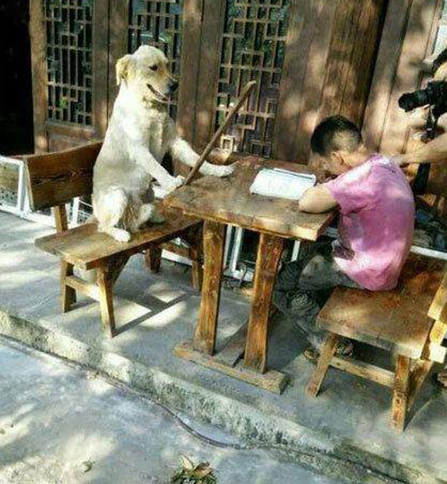 Sờ, sờ mưa, đấm nhau trong nhà hàng hay nghe những câu chuyện dở khóc dở cười, tất cả đều có trong hình ảnh hài hước của chúng tôi! Hãy xem để khám phá những bức tranh với những cảnh tượng vô cùng hài hước, bạn sẽ không tận hưởng được niềm vui đó ở bất cứ nơi đâu khác đâu!