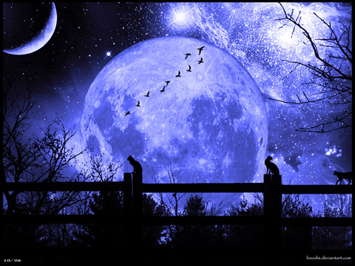 Hình nền : Mặt trăng, vòng tròn, Trăng máu, Giai đoạn trăng, bóng tối,  phông chữ, hình bán nguyệt 1920x1200 - ChipChap90 - 144396 - Hình nền đẹp  hd - WallHere