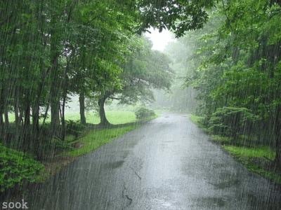 Tổng hợp với hơn 100 cảnh mưa đẹp mới nhất - Tin Học Vui