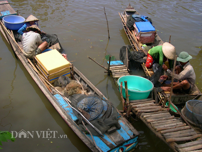 LÀNG NGHỀ ĐÓNG GHE XUỒNG NĂM QUĂNG