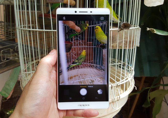 can canh oppo r7 plus moi len ke hinh anh 8