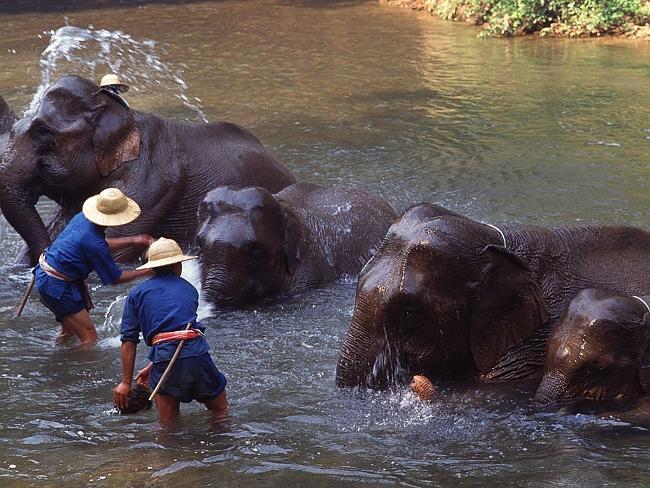 12 diem du lich hap dan tai thai lan du khach hay bo lo hinh anh 1