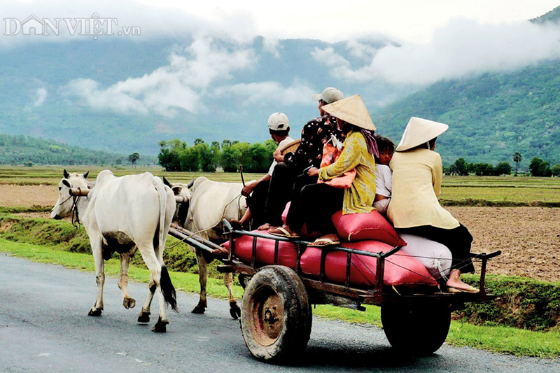 Xe bò Bảy Núi - một trong những di sản văn hóa phi vật thể độc đáo và nổi tiếng của Bình Định. Hãy tham quan khu di tích cùng chuyến đi thú vị đến địa danh này.