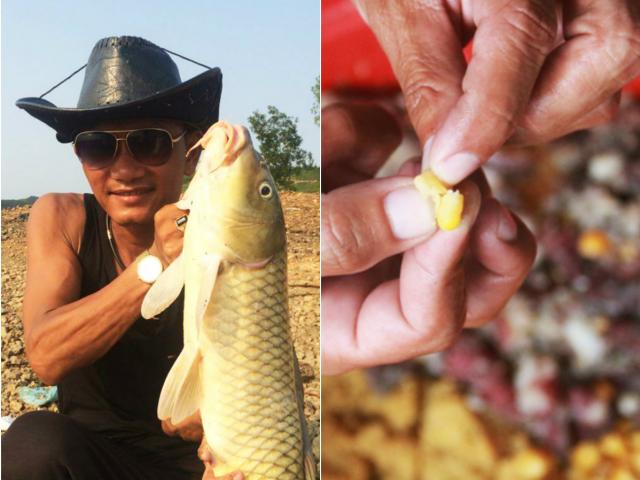 Cần thủ xứ Nghệ "hé lộ" tuyệt chiêu làm mồi câu cá - Dân Việt
