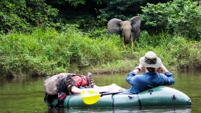 nhung tour kham pha dong vat hoang da hap dan nhat the gioi hinh anh 1